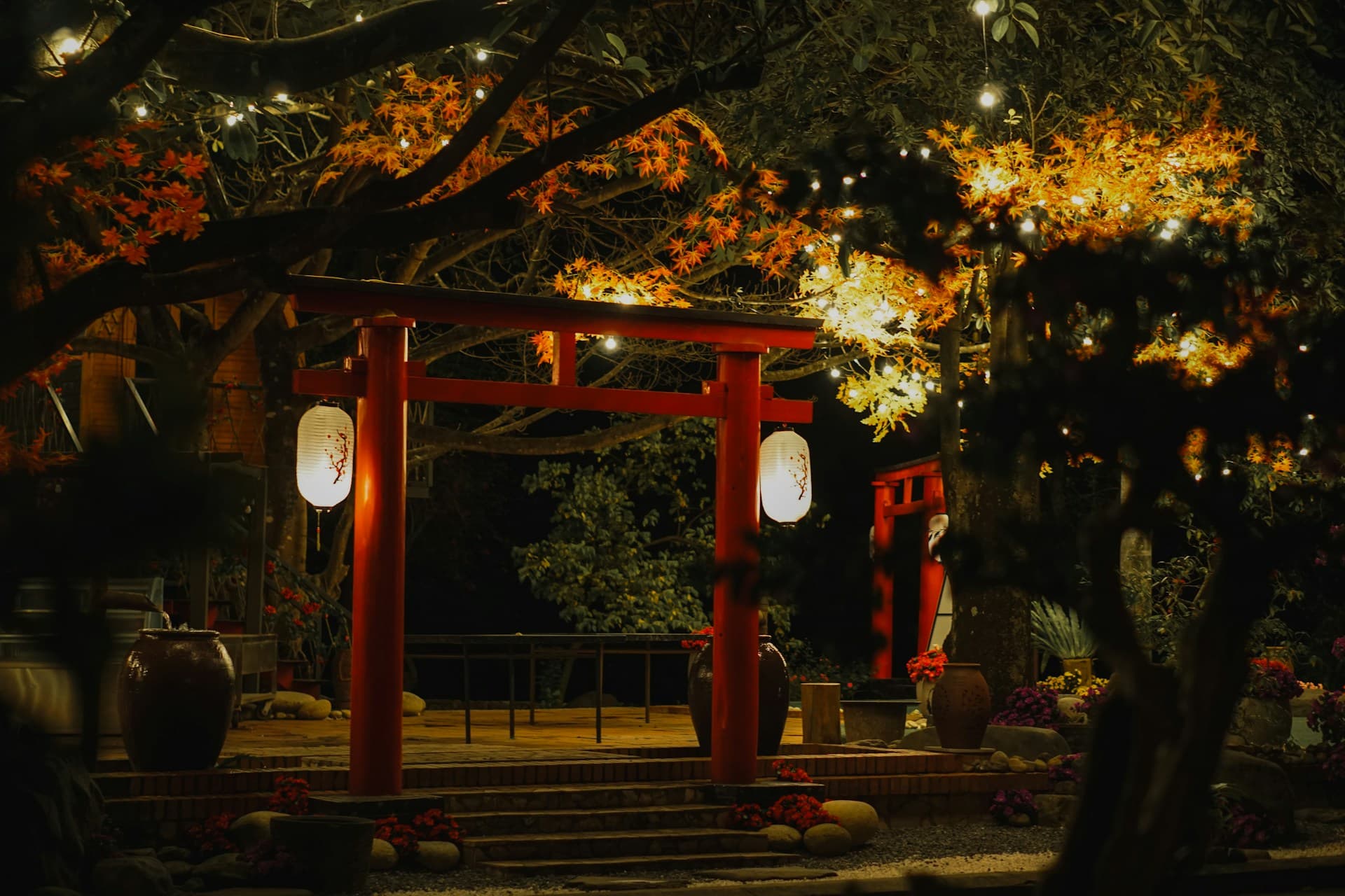 Premium sushi ingredients and seafood