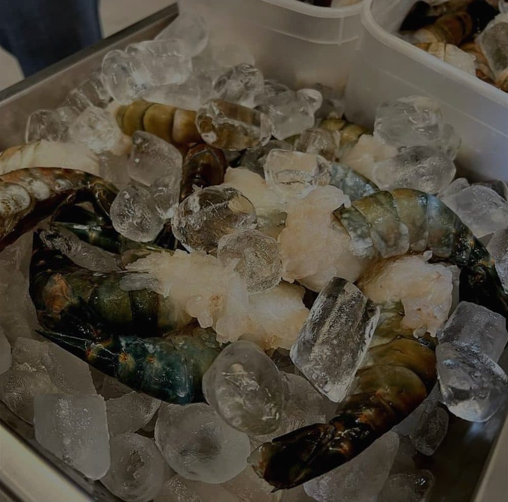 FRESH WATER 超大淡水罗氏虾