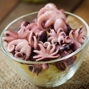 BABY OCTOPUS ARNO 20/40 魷魚仔