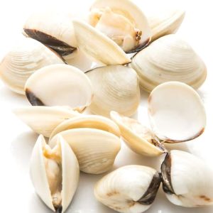 WHOLE WHITE CLAM IN SHELL 60-80 帶殼蛤蜊